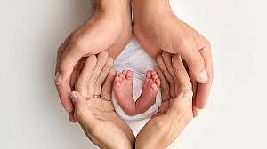IVF