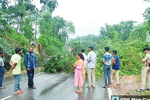 Ism_Tree teravu