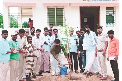 Kudlgi green