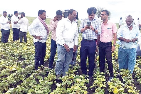 Kukanuru Tq Talakallu Farmers Crop Survey