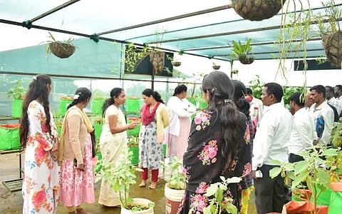 MDG krushi
