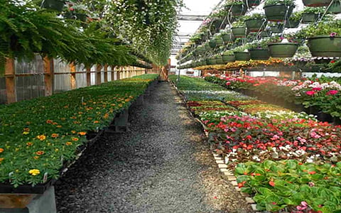 Nursery-Portal-image