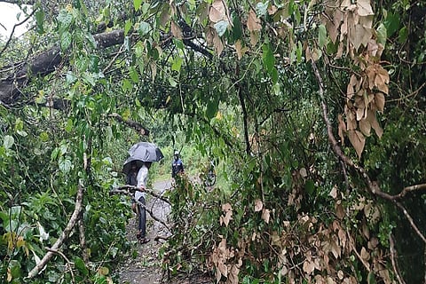 Precautionary measures were not taken for rainy season