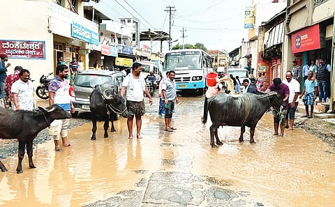 Protest in byadagi