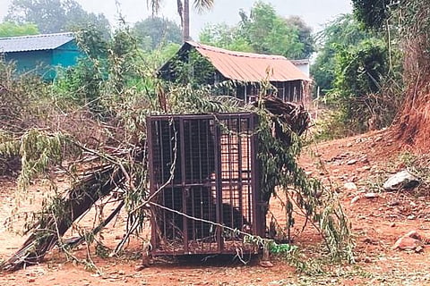Sandur Karadi