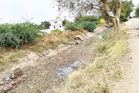 Sindhanour Canal araginamara camp
