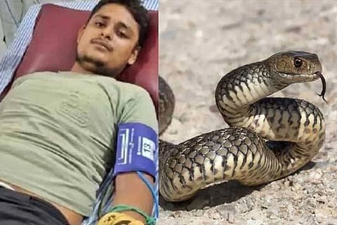 Snake Bite