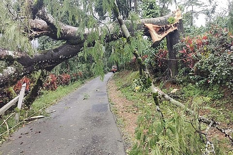 The rains in Kodagu have decreased a little