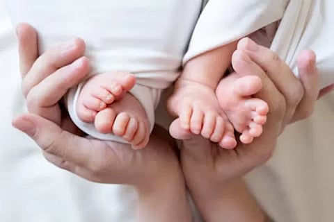 Twin Babies