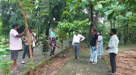 UDP-2-11-TreeCutting