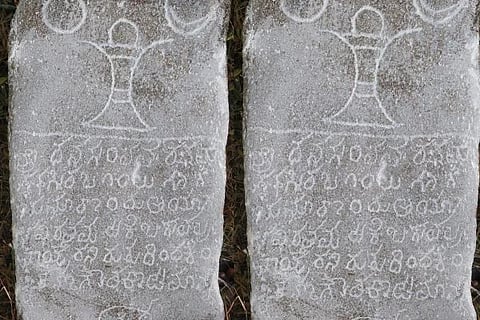 Untitled design (6)