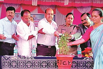 bhanu.jpg