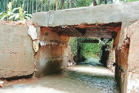 bridge