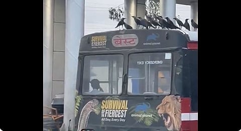 bus top