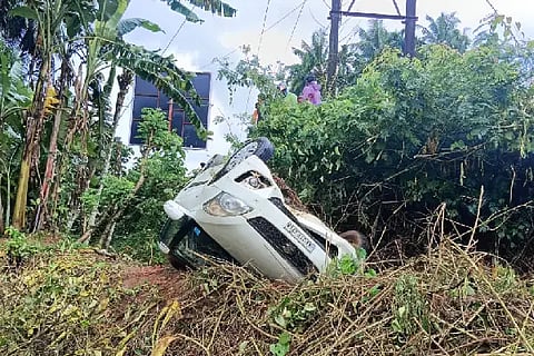 car palti