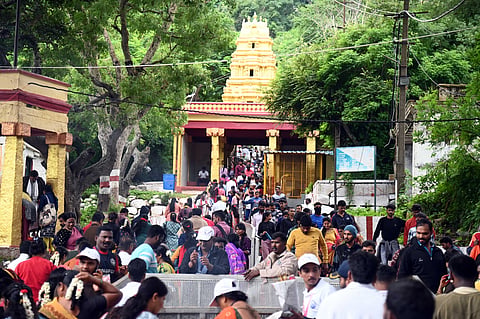 mysore