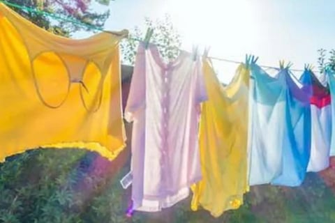 clothes