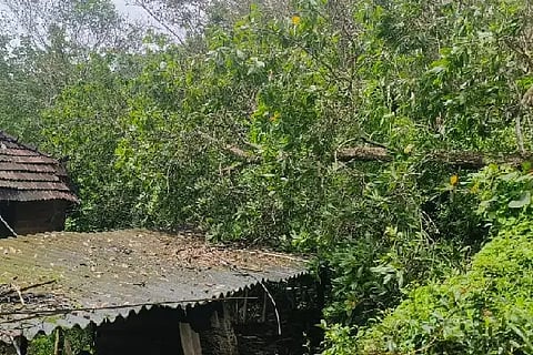 damage 1