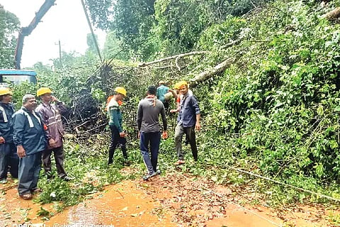 damage