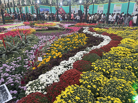 flowershow