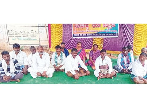 hbhalli Prots
