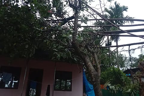 house damge