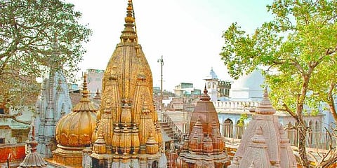 kashi