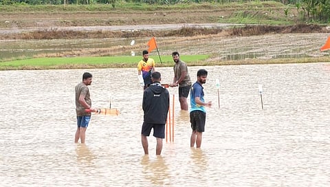kesarugadde