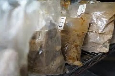 mdma