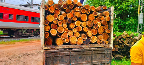 mng-30july-wood (2)