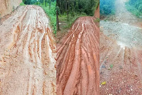 muddy road