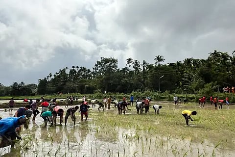 prajnabharati