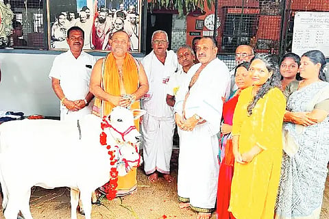 punganoor