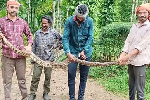 python