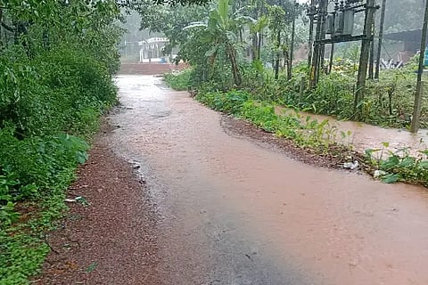 rain