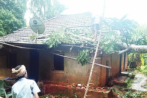 rain damage