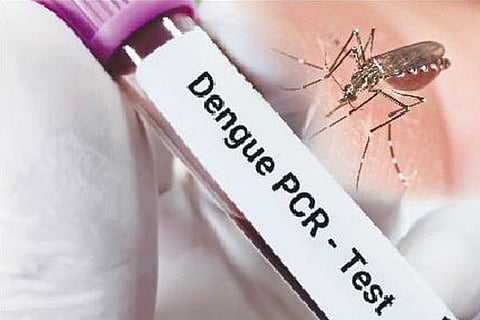 dengu