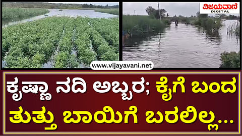 Bagalkot: Krishna River