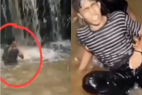 snakeentered