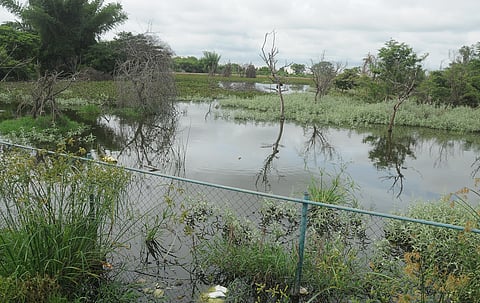 mysore