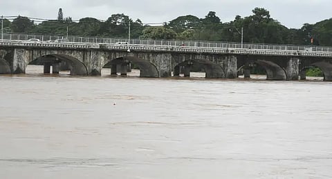 tunga