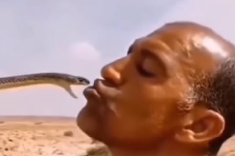 _video viral