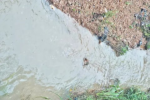 water