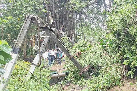 web - kambha haani