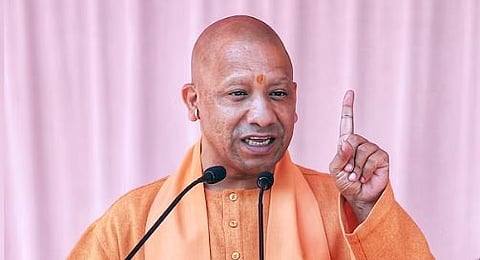 yogi