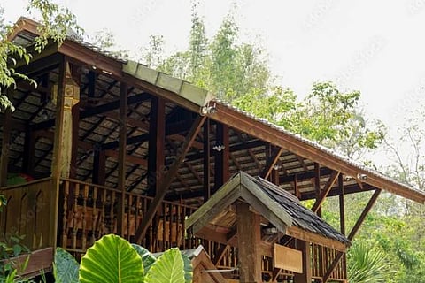 ವಿಜಯವಾಣಿ (12)