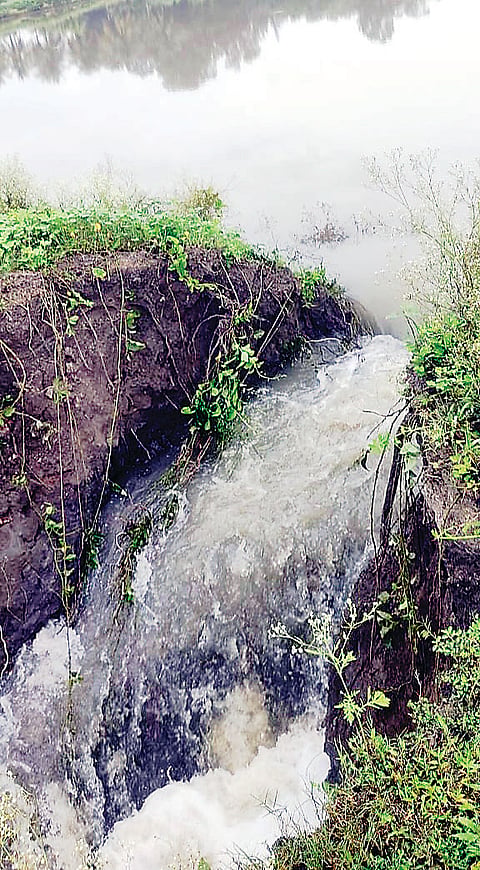 ದೊಡ್ಡಕೆರೆ ಏರಿ ಒಡೆದು ನಷ್ಟ