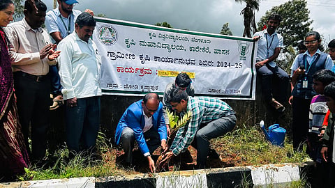 ವೃಕ್ಷ, ತಾಯಿಯ ಪ್ರೀತಿ, ಕಾಳಜಿಯ ಸಂಕೇತ: ಡಾ.ಮುನಿಸ್ವಾಮಿಗೌಡ