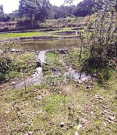 ಆಲೂರು ಗ್ರಾಮದ ಸಾರ್ವಜನಿಕ ಕೆರೆ ನೀರು ಕಾಲುವೆ ಮೂಲಕ ಹೊರ ಹೋಗುತ್ತಿರುವುದು.