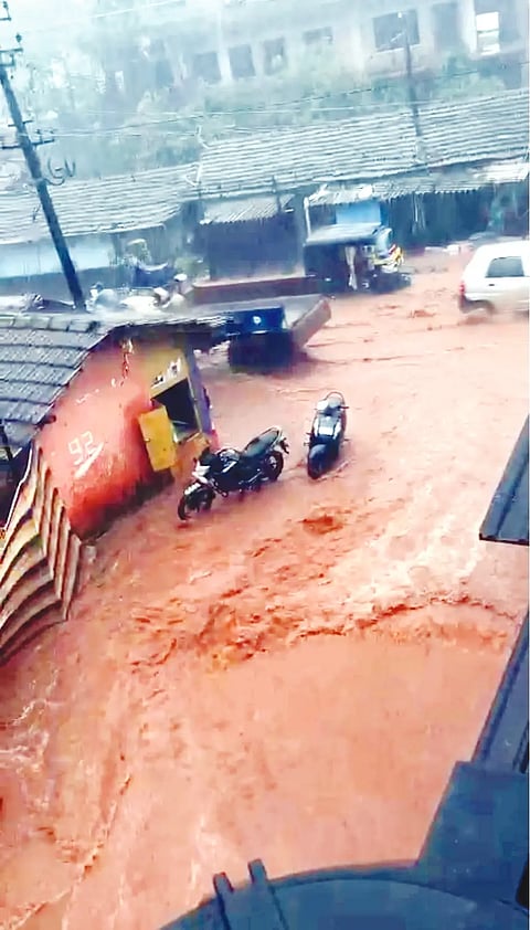 17sirsi7- RAIN